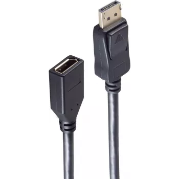 SHIVERPEAKS BS10-48025 cable DisplayPort 1 m negro