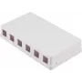 SHIVERPEAKS caja de superficie Keystone, 6 puertos, blanco (BS08-10118)