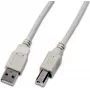 Wirewin cable USB 2.0 A a B 1,5 m gris USB A-B MM 1.5 GR