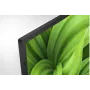 Sony FWD-32W8001 Pantalla de señalización digital BRAVIA profesional 32