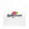 Spectrum PLA Premium filamento 3D 1,75mm Silver Star 1kg