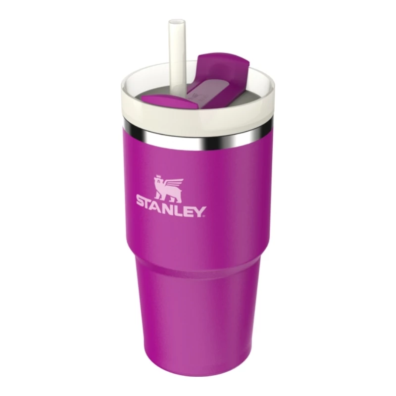 STANLEY The Quencher H2.O FlowState Vaso con pajita 0,59L Lila