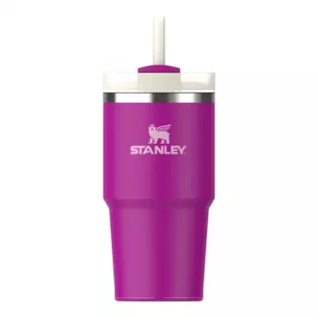 STANLEY The Quencher H2.O FlowState Vaso con pajita 0,59L Lila