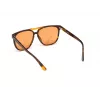 Gafas de sol WEB EYEWEAR Unisex WE0263-5956J Cuadradas Montura de acetato Havana Lentes de policarbonato verdes 59/13/145 mm UV400