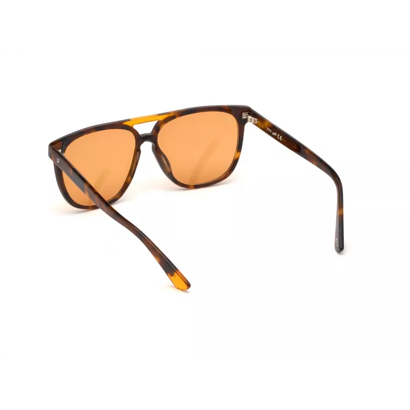 Gafas de sol WEB EYEWEAR Unisex WE0263-5956J Cuadradas Montura de acetato Havana Lentes de policarbonato verdes 59/13/145 mm UV400