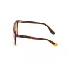 Gafas de sol WEB EYEWEAR Unisex WE0263-5956J Cuadradas Montura de acetato Havana Lentes de policarbonato verdes 59/13/145 mm UV400