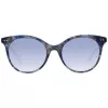 Gafas de Sol WEB EYEWEAR Mujer WE0277-5255W Cat Eye Havana Marrón 52/19/140 mm