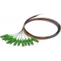 SYNERGY21 S215560 Set de cables de fibra óptica patch 2 m OS2 E-2000 (LSH) multicolor pack de 12