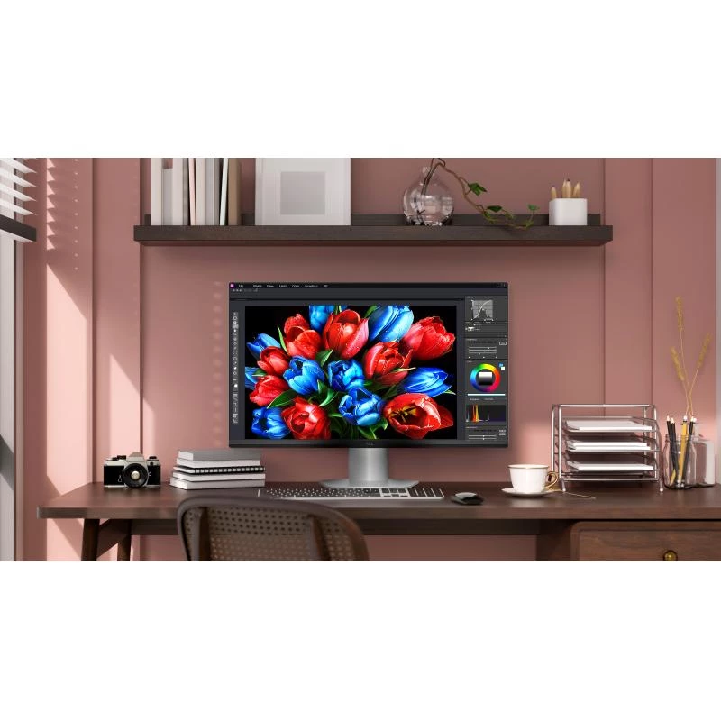 TCL 25G54 Monitor 24,5