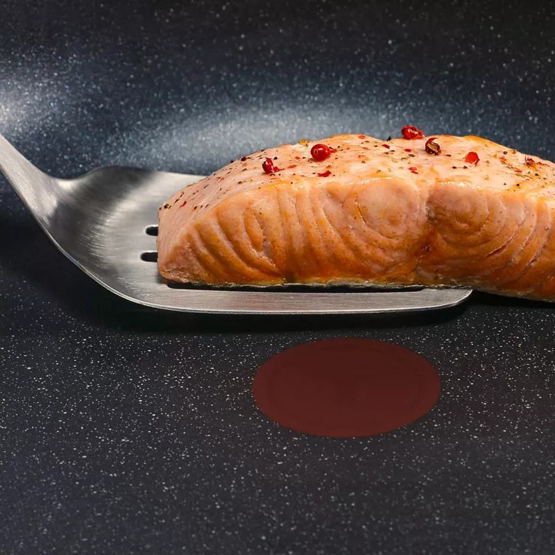 Tefal Expertise Plus sartén de 24 cm con recubrimiento antiadherente y Thermo-Spot