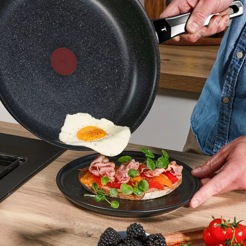 Tefal Expertise Plus sartén de 24 cm con recubrimiento antiadherente y Thermo-Spot