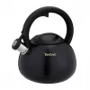 Tefal N4180410 Hervidor Express Control de acero inoxidable, 2,5 L, inducción, plata/negro