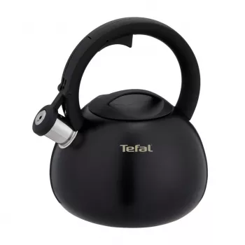 Tefal N4180410 Hervidor Express Control de acero inoxidable, 2,5 L, inducción, plata/negro
