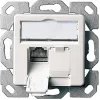 Telegärtner AMJ45 8/8 K Up/50 Toma de datos de empotrar Cat.6A, 2x RJ45, apantallada, blanco perla RAL 1013 J00020A0501