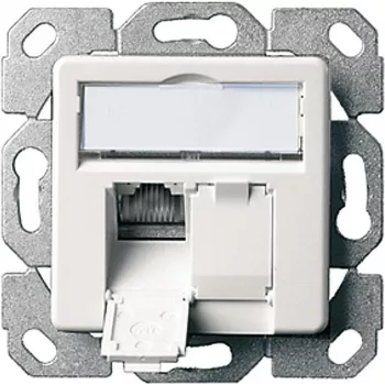 Telegärtner AMJ45 8/8 K Up/50 Toma de datos de empotrar Cat.6A, 2x RJ45, apantallada, blanco perla RAL 1013 J00020A0501