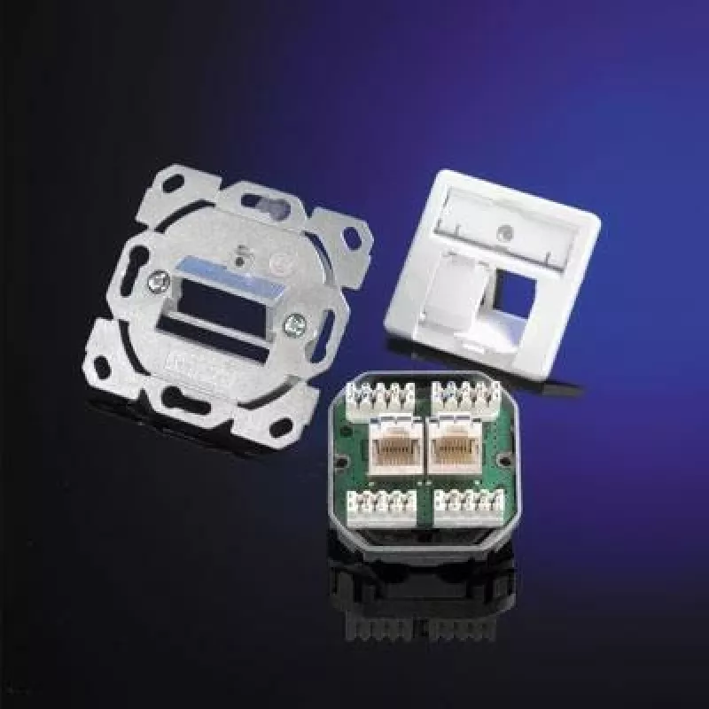 Telegärtner AMJ45 Módulo de conexión de datos, 2 puertos RJ45, Cat.6A blindado, 10G, IDC sin herramienta, carcasa de zinc