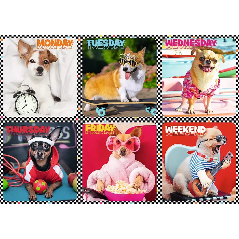 Puzzle Trefl 200 Happy Dogs