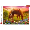 Puzzle TREFL 500 - Horses in the Meadow
