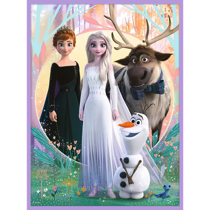 TREFL PUZZLE Puzzle - 2 en 1 + Memos Princesses in Their Land - Disney Frozen 2 93335