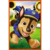 Puzzle Trefl - 3x80 - Dog Pack Paw Patrol Trefl 34886