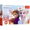 TREFL PUZZLE Puzzle 60 El mundo mágico de Anna y Elsa