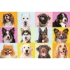 TREFL PUZZLE Puzzles - 60 - Cachorros adorables