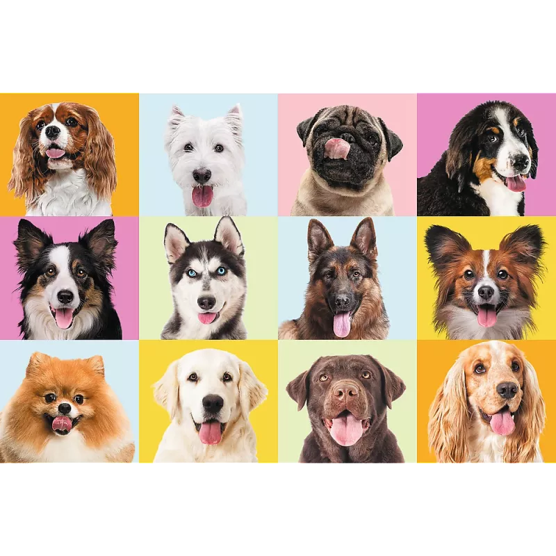 TREFL PUZZLE Puzzles - 60 - Cachorros adorables