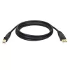 Tripp Eaton Tripp Lite Series cable USB 2.0 A a B (M/M)