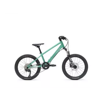 Bicicleta de montaña VAAST Y/1 20