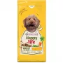Pienso seco VERSELE-LAGA HappyLife con pollo para perros adultos 12,5 kg