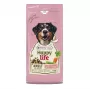 Pienso seco VERSELE-LAGA HappyLife con cordero para perros adultos 12,5 kg