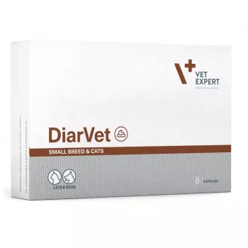 VetExpert Diarvet Razas Pequeñas y Gatos 6 cápsulas