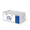 VOLT POLSKA Batería LiFePO4 24V 120Ah 120A