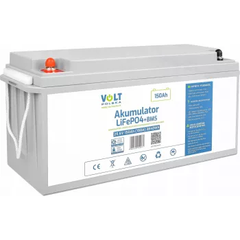 VOLT POLSKA Batería LiFePO4 24V 120Ah 120A