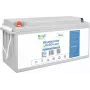 VOLT POLSKA Batería LiFePO4 24V 120Ah 120A