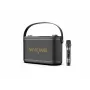 W-King H10S Altavoz portátil inalámbrico, 100W RMS, Bluetooth 5.0, IPX6, Negro