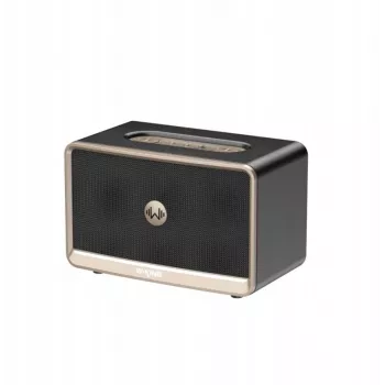 W-King H330 altavoz Bluetooth inalámbrico portátil 30W IPX6 negro
