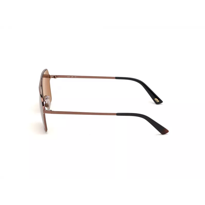 Gafas de sol WEB EYEWEAR hombre WE0261-6036E havana/marrón montura de acetato lente de policarbonato verde 60/14/145 mm