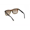 WEB EYEWEAR MAN WE0279-5652G Gafas de sol Havana Verde 56/19/145 mm