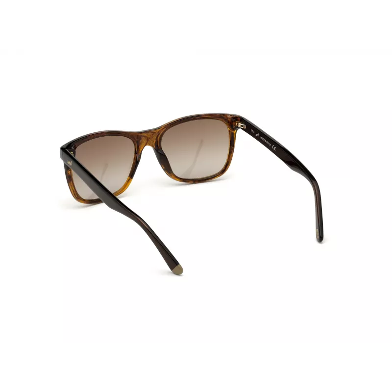 WEB EYEWEAR MAN WE0279-5652G Gafas de sol Havana Verde 56/19/145 mm