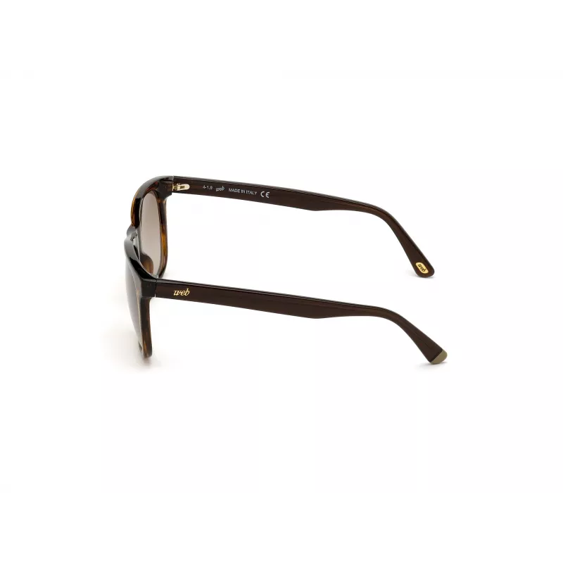 WEB EYEWEAR MAN WE0279-5652G Gafas de sol Havana Verde 56/19/145 mm