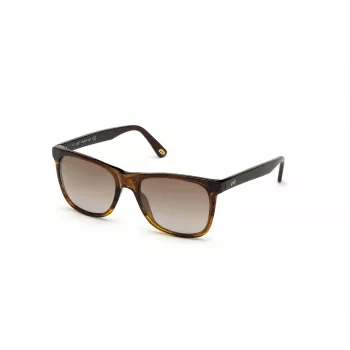 WEB EYEWEAR MAN WE0279-5652G Gafas de sol Havana Verde 56/19/145 mm