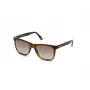 WEB EYEWEAR MAN WE0279-5652G Gafas de sol Havana Verde 56/19/145 mm
