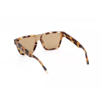 WEB EYEWEAR MAN WE0314-0041F Gafas de sol montura de acetato habana, lentes marrones degradadas 54-19-145