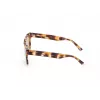 WEB EYEWEAR MAN WE0314-0041F Gafas de sol montura de acetato habana, lentes marrones degradadas 54-19-145