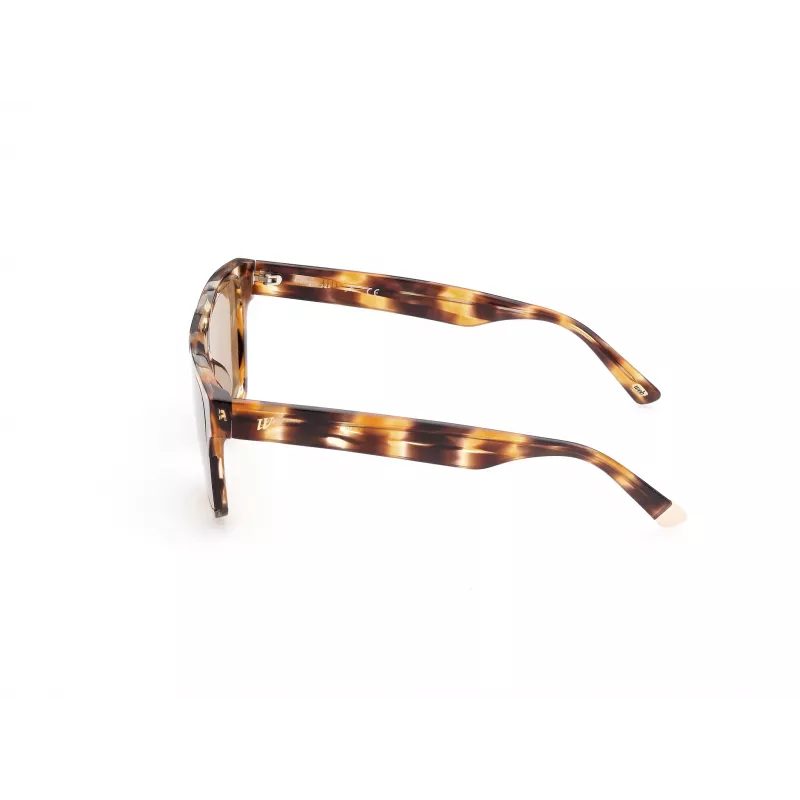 WEB EYEWEAR MAN WE0314-0041F Gafas de sol montura de acetato habana, lentes marrones degradadas 54-19-145