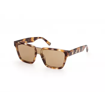 WEB EYEWEAR MAN WE0314-0041F Gafas de sol montura de acetato habana, lentes marrones degradadas 54-19-145