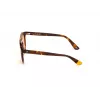WEB EYEWEAR Unisex WE0262-5156J Gafas de sol rectangulares acetato Havana/marrón degradado lente 51/19/145 mm UV400