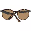 WEB EYEWEAR WE0146-5252G Gafas de Sol Unisex Montura Havana Lente Gris Degradado 52mm