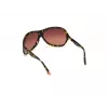 WEB EYEWEAR Gafas de sol mujer WE0290-6552F Havana marrón rectangulares cat eye 65/12/115 mm